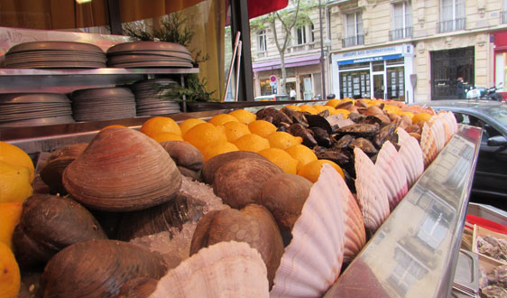 Shellfish Display